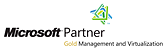 Microsoft Gold Partner